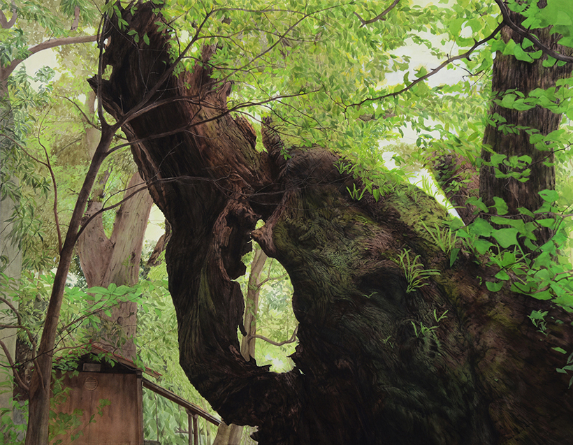 作品写真：木を見ている時｜Photo:when looking at the tree