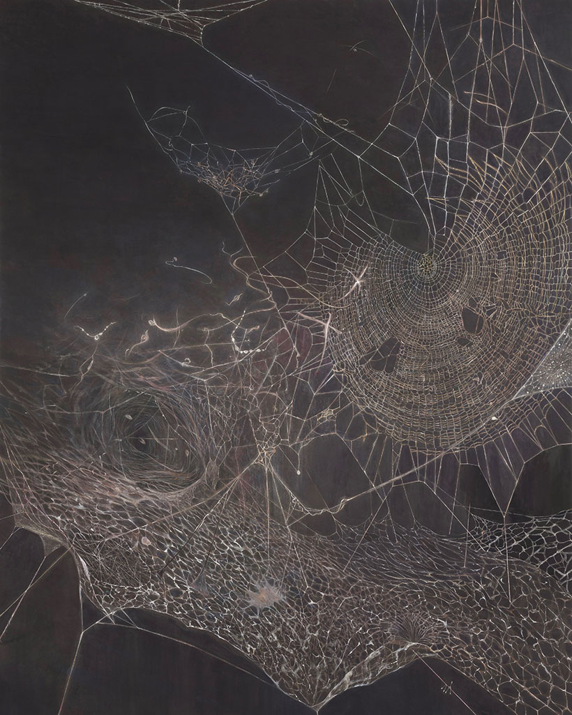 作品写真：蜘蛛の囲｜Photo:spiderwebs