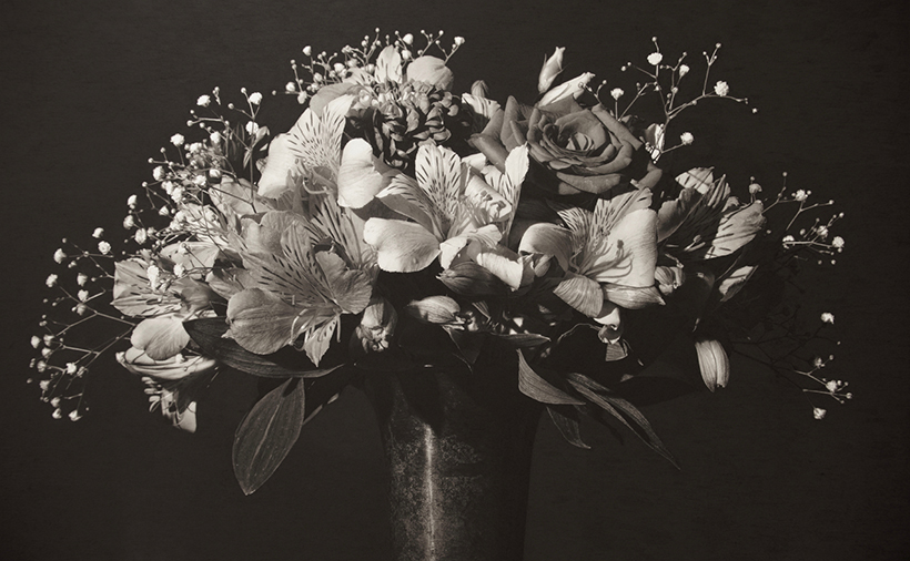 作品写真：The Flowers｜Photo:The Flowers